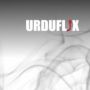 Urdu Flix